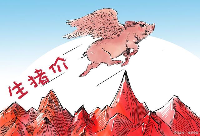 转折点萨克拉门托国王状态回暖，欧冠今晚攻防权衡，信心回归，身体对抗强度拉满的简单介绍-开云棋牌入口